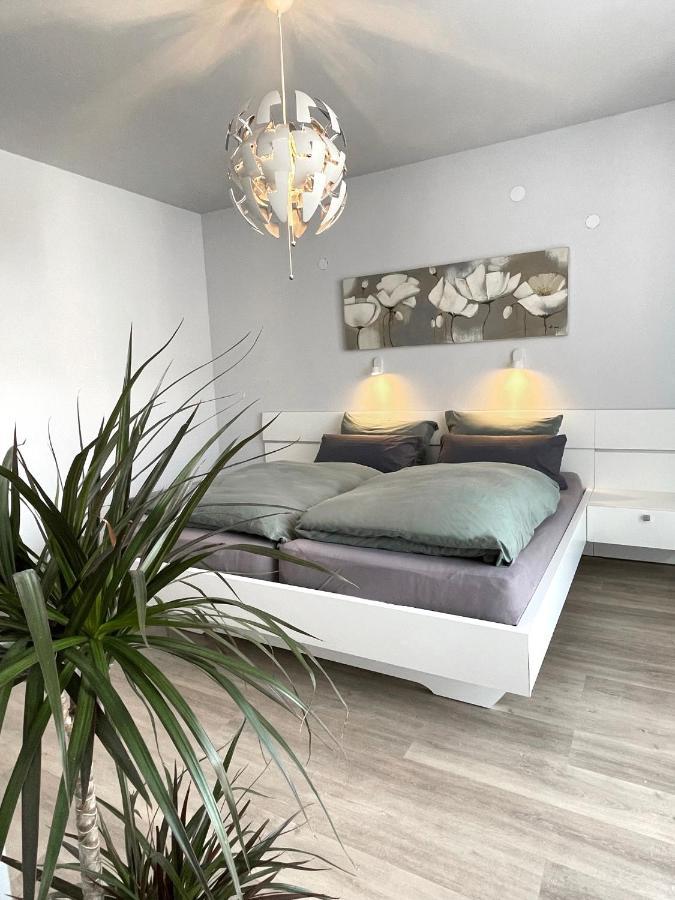 Am Weinberg - Stilvoll, Ruhig, Zum Wohlfuehlen Apartment Pfaffenweiler Екстериор снимка
