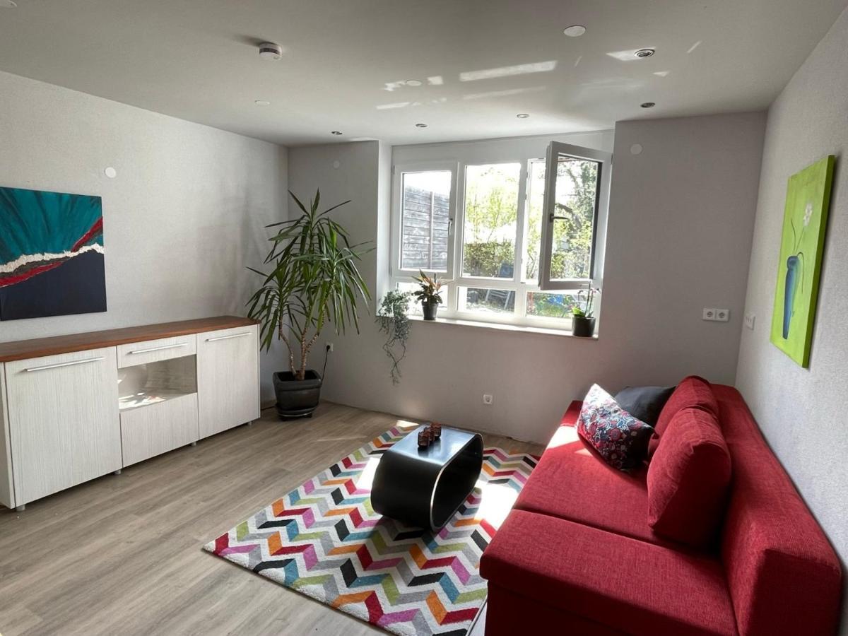 Am Weinberg - Stilvoll, Ruhig, Zum Wohlfuehlen Apartment Pfaffenweiler Екстериор снимка